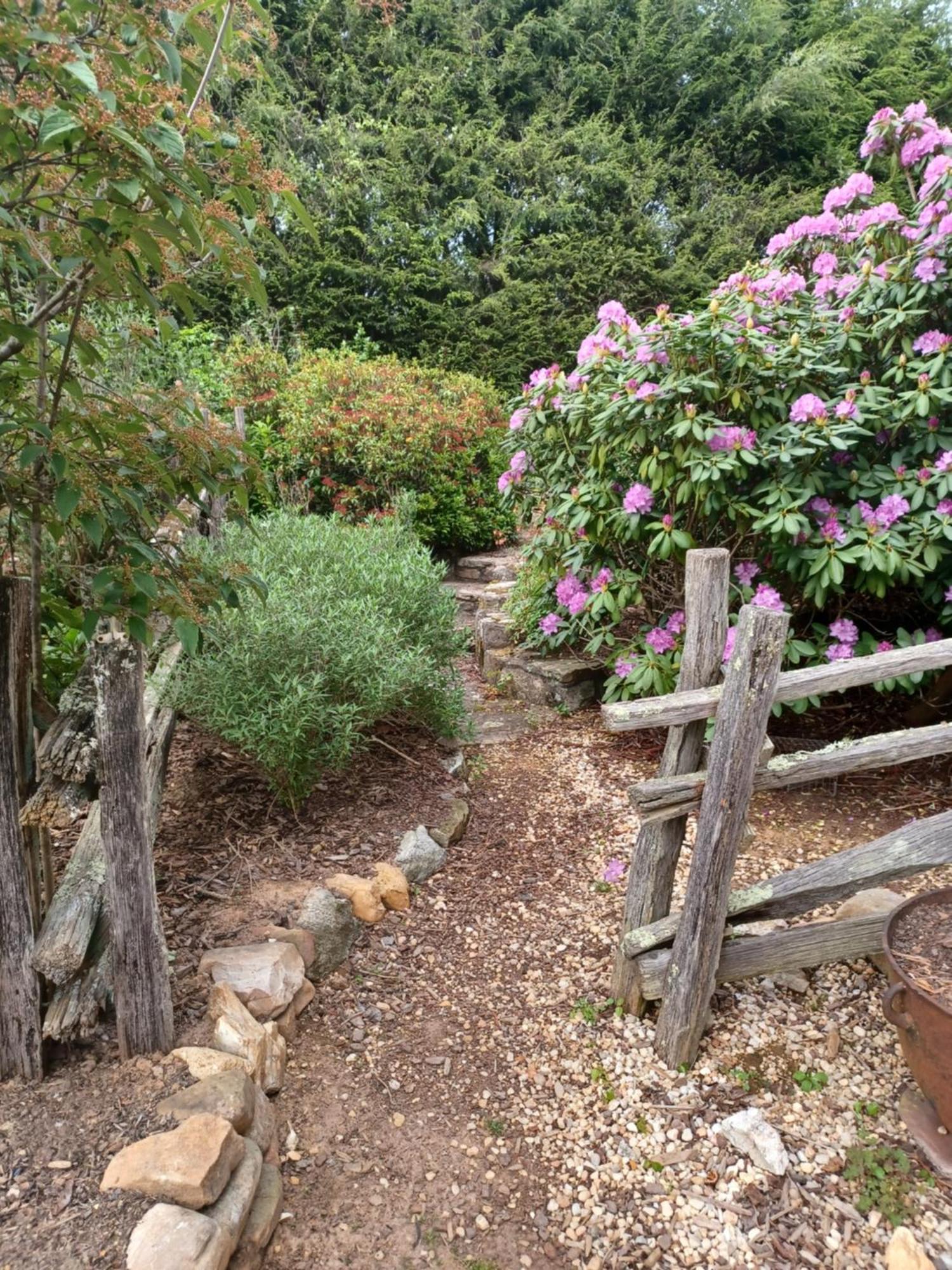 Restored1850S Log Cabin, With Gazebo And Gardens! 1 Mile To Downtown Weaverville Esterno foto