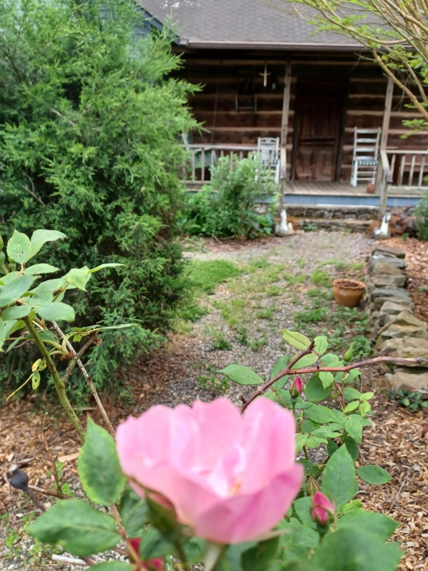 Restored1850S Log Cabin, With Gazebo And Gardens! 1 Mile To Downtown Weaverville Esterno foto
