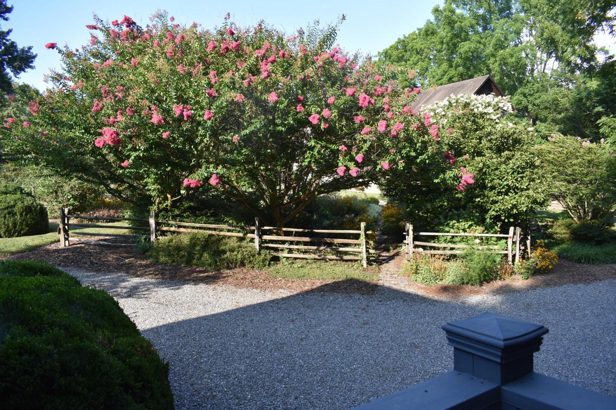 Restored1850S Log Cabin, With Gazebo And Gardens! 1 Mile To Downtown Weaverville Esterno foto