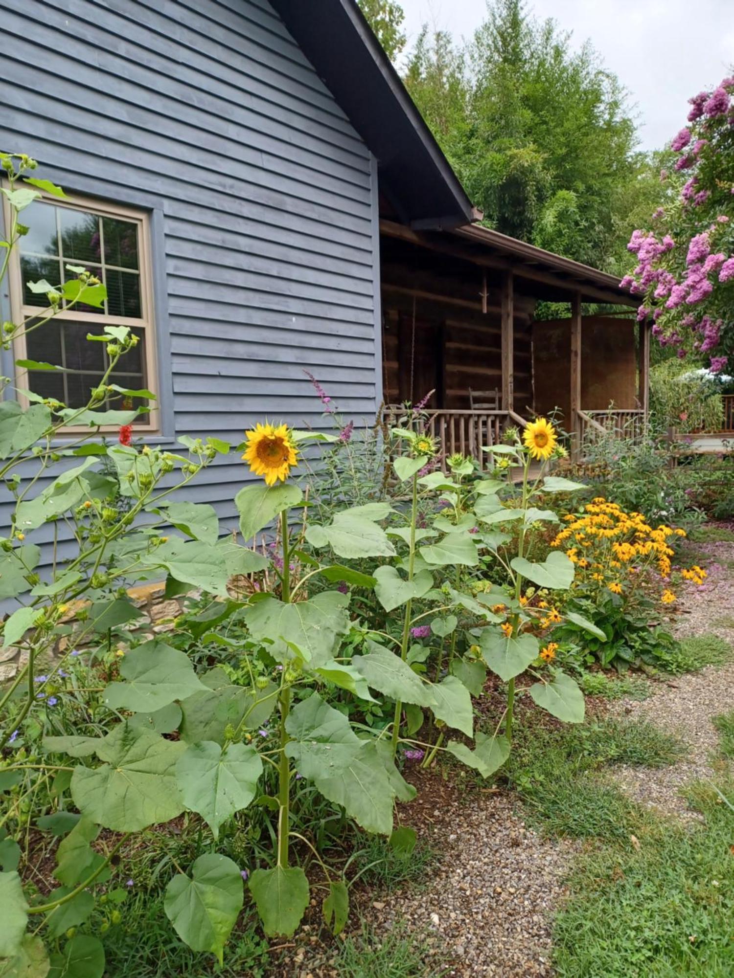 Restored1850S Log Cabin, With Gazebo And Gardens! 1 Mile To Downtown Weaverville Esterno foto