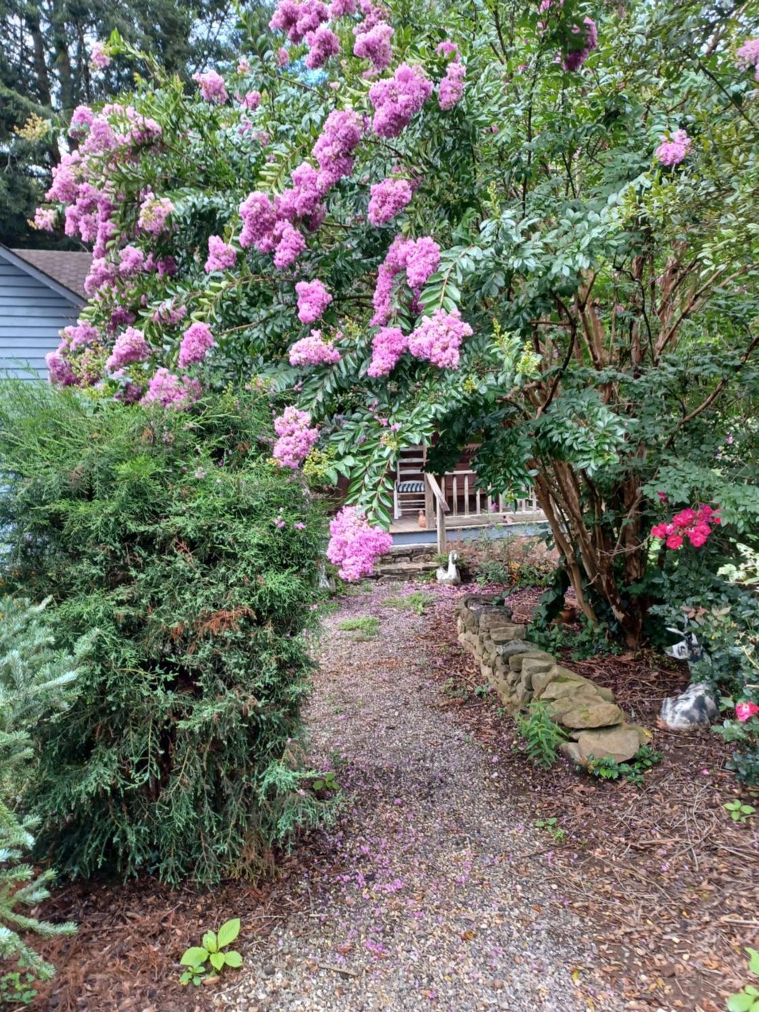 Restored1850S Log Cabin, With Gazebo And Gardens! 1 Mile To Downtown Weaverville Esterno foto