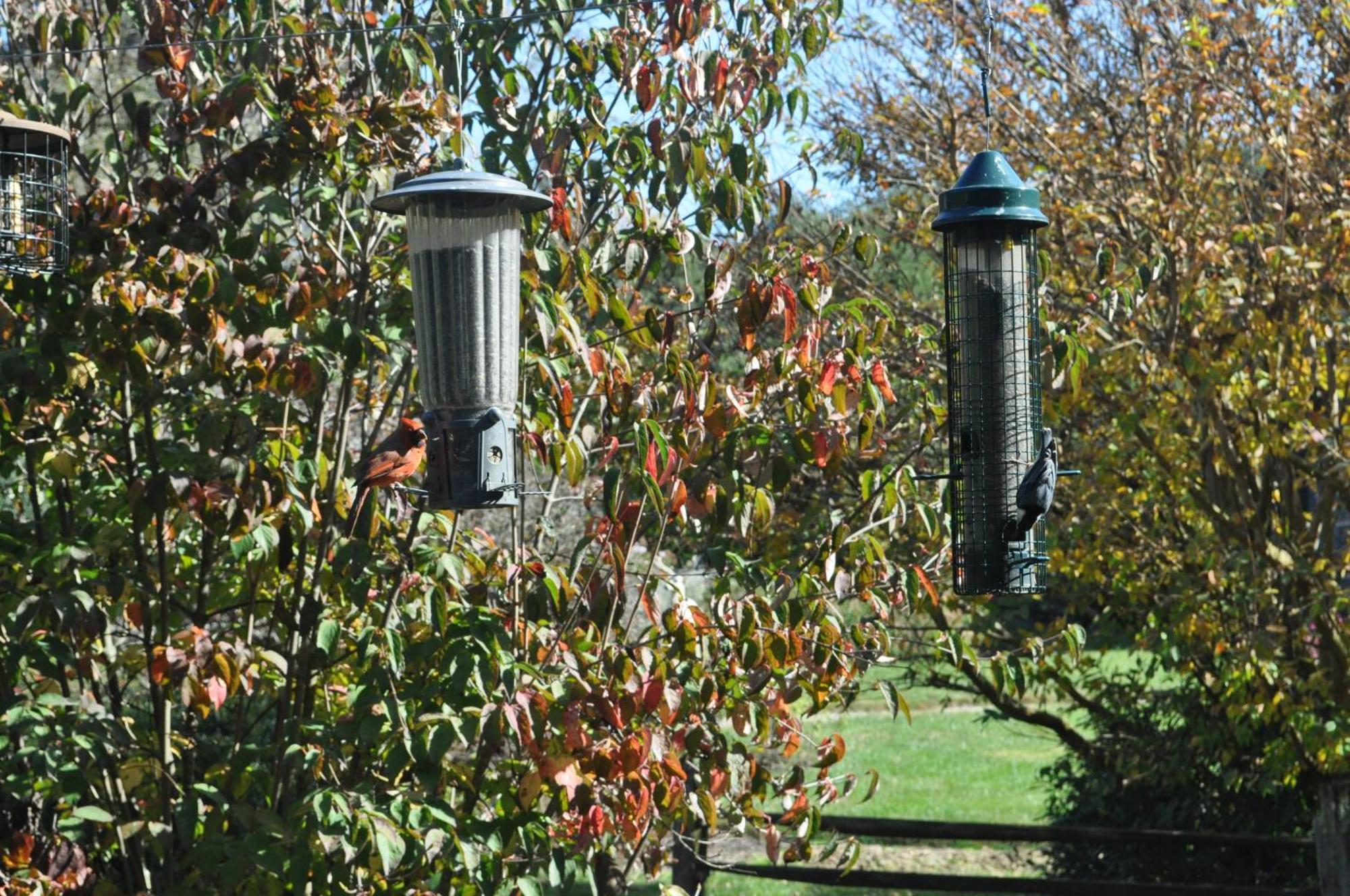 Restored1850S Log Cabin, With Gazebo And Gardens! 1 Mile To Downtown Weaverville Esterno foto